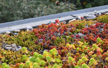 the cost of Lye Hole green roof installation