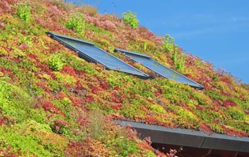 Lye Hole living roof systems